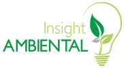 Insight